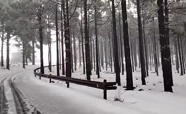 Así se ve la cumbre de Gran Canaria nevada